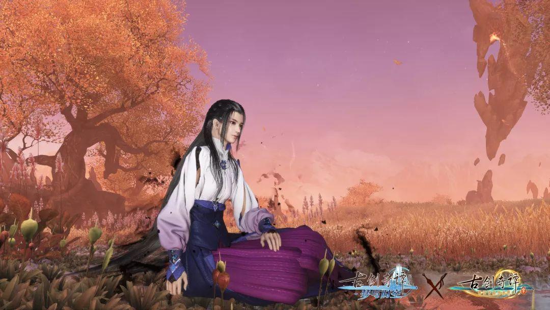 细胞分裂6